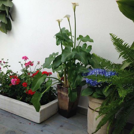 Patio San Lorenzo 코르도바 외부 사진