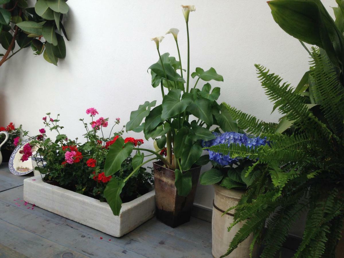 Patio San Lorenzo 코르도바 외부 사진