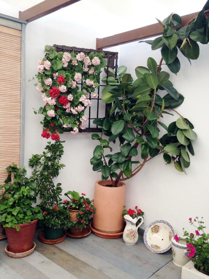 Patio San Lorenzo 코르도바 외부 사진